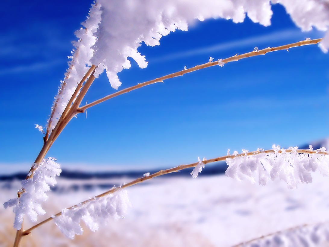 Kylmäaltistus ja palautuminen – miksi kylmähoito on noussut suosioon? Image